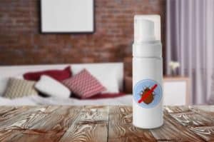 bed bugs spray for mattress