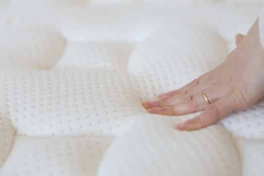 bed bugs in foam mattress