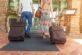 How To Keep Bed Bugs Off Luggage - Bed Bugs Insider