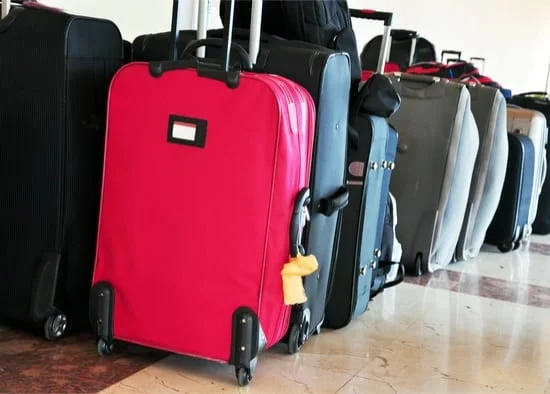 heat to treat luggage for bed bugs